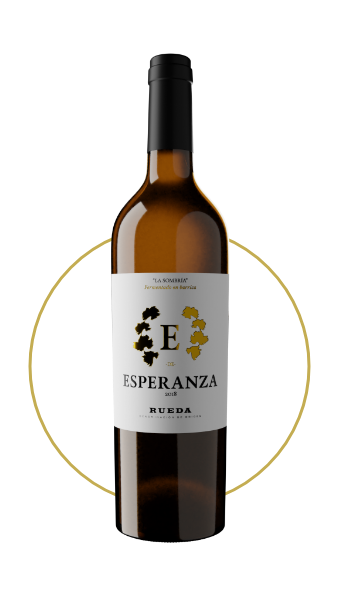 Grupo 854 E de Esperanza 2019